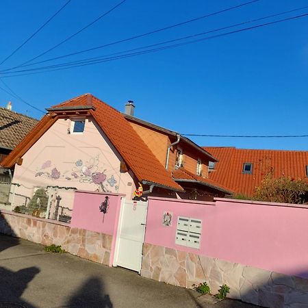 Apartament Venus Dessenheim Zewnętrze zdjęcie