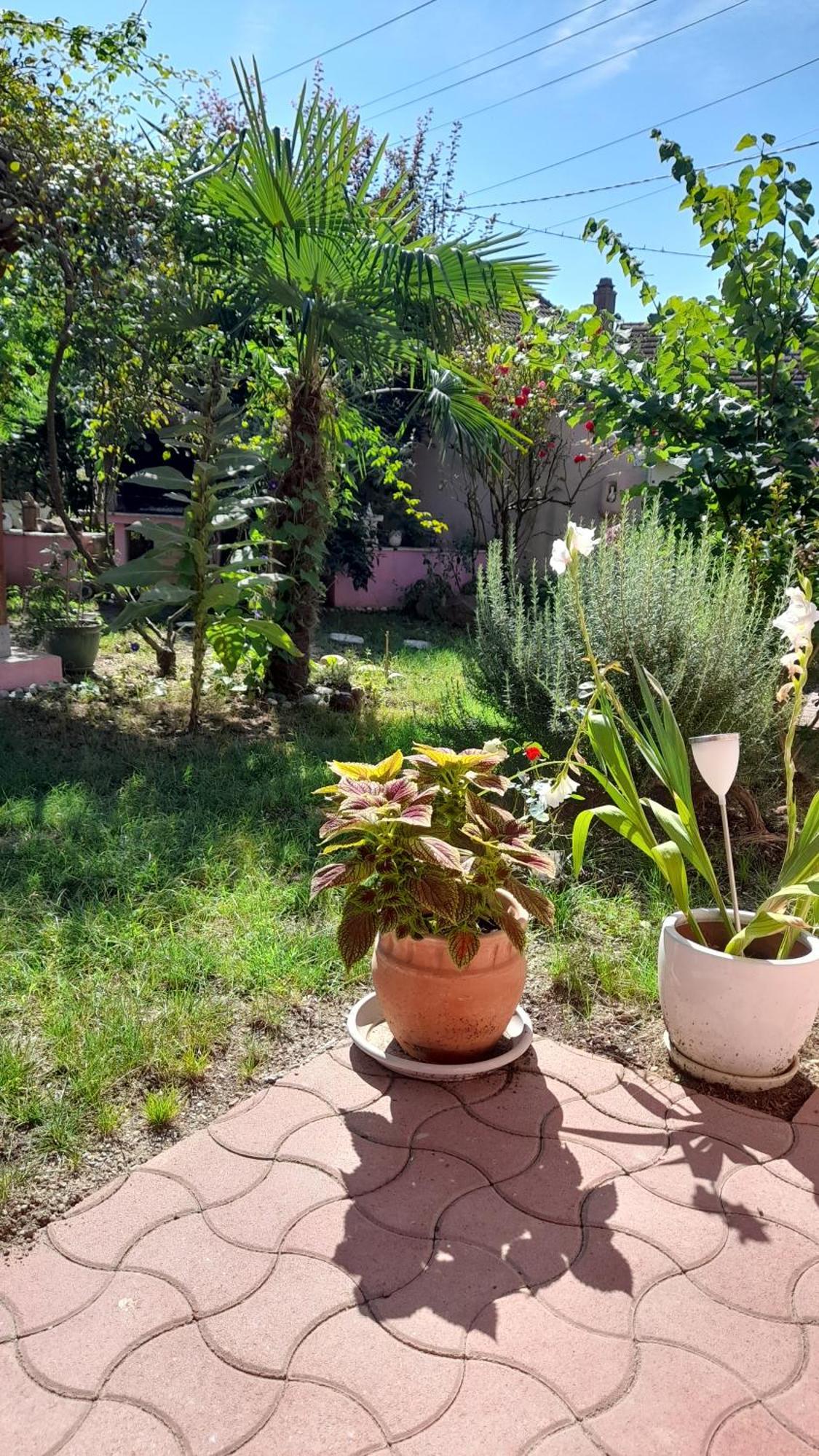 Apartament Venus Dessenheim Zewnętrze zdjęcie