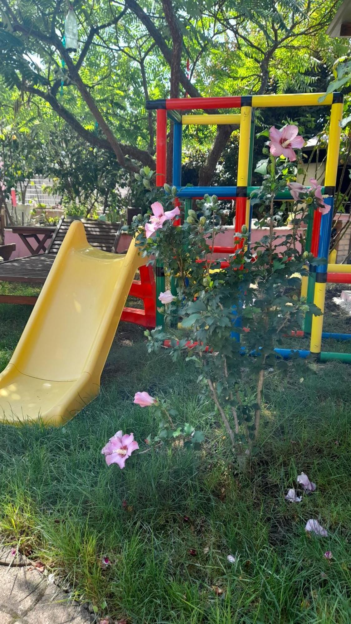 Apartament Venus Dessenheim Zewnętrze zdjęcie